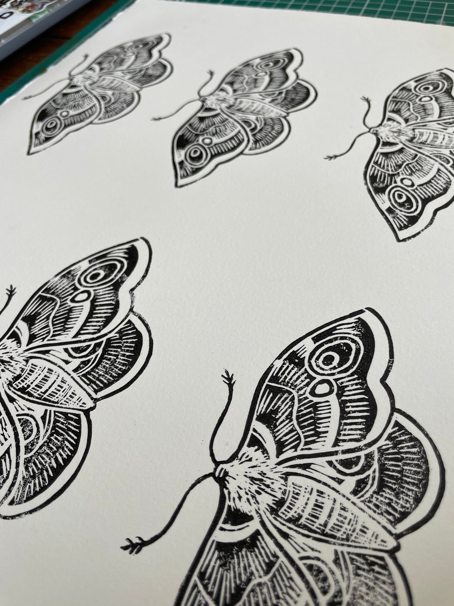 A lino print of a moth butterfly in black and white traditional tattoo style