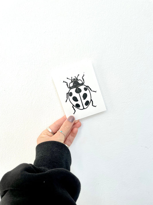 Ladybird