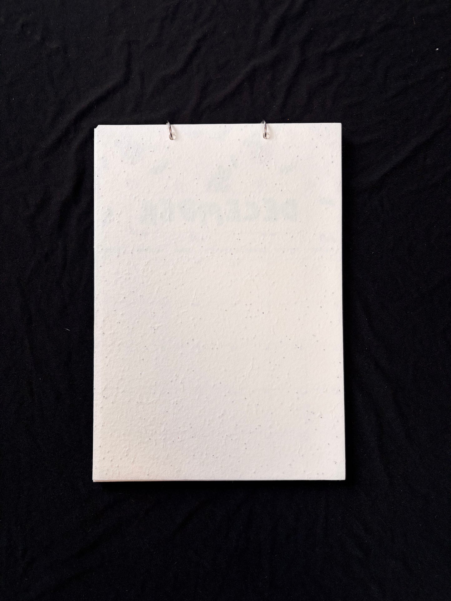 2027 Plantable Calendar - Bumblebees
