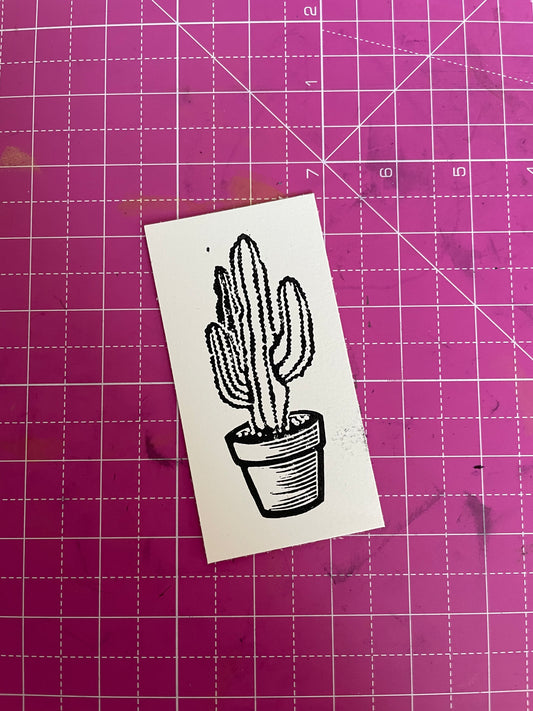 Desert Cactus