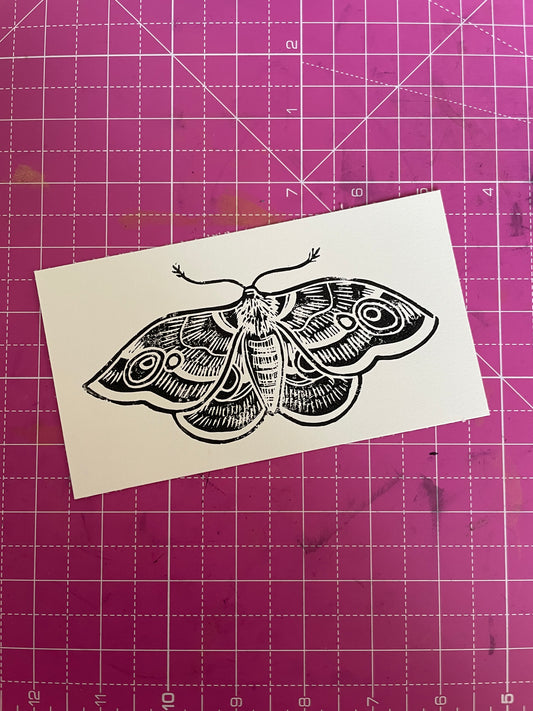 Butterfly Moth
