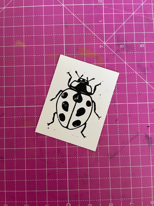Ladybird