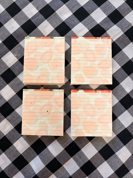 Super Seconds Sale - Plantable Memo Pad - Strawberries